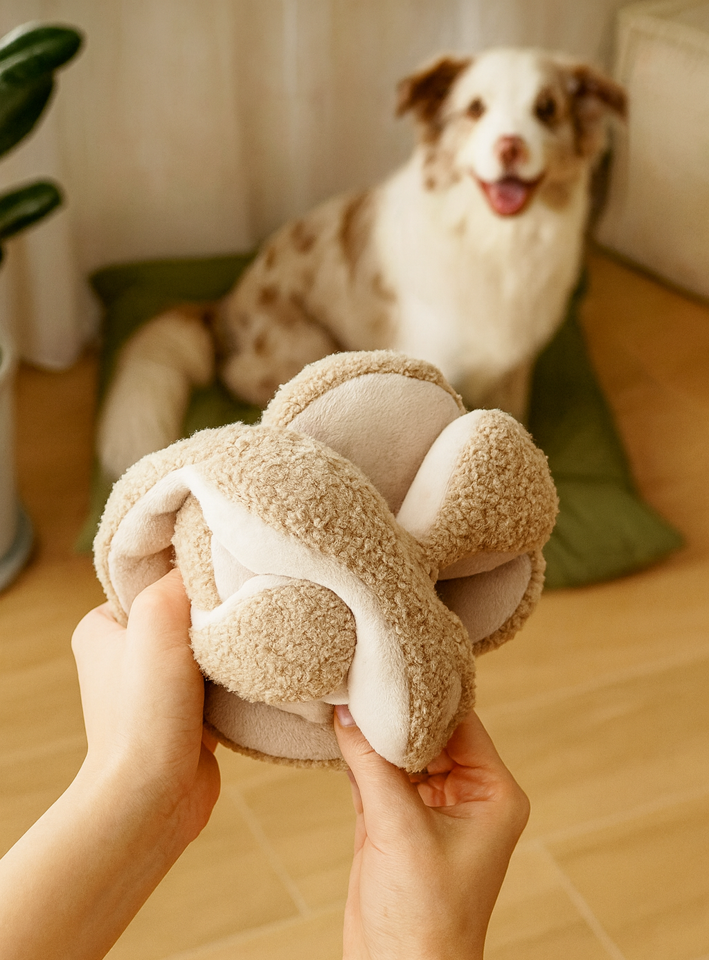 Lambwolf Collective – MONTI Silent Version