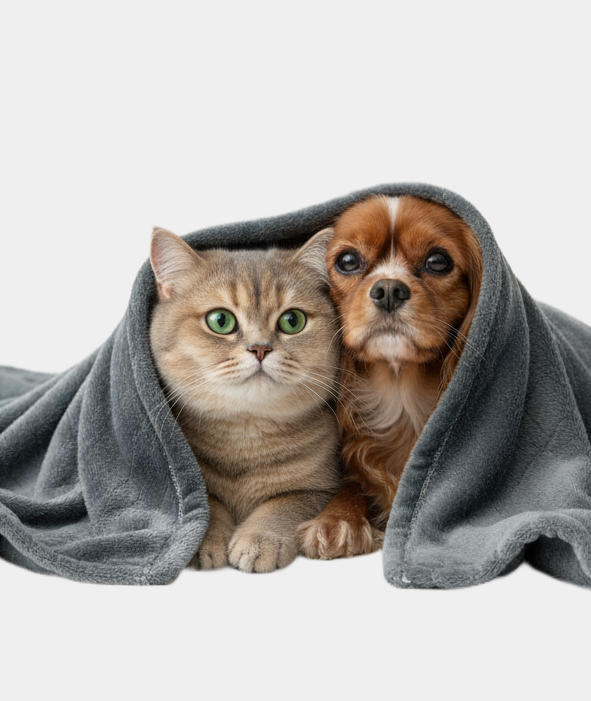 PetPet Life Harmony Blanket