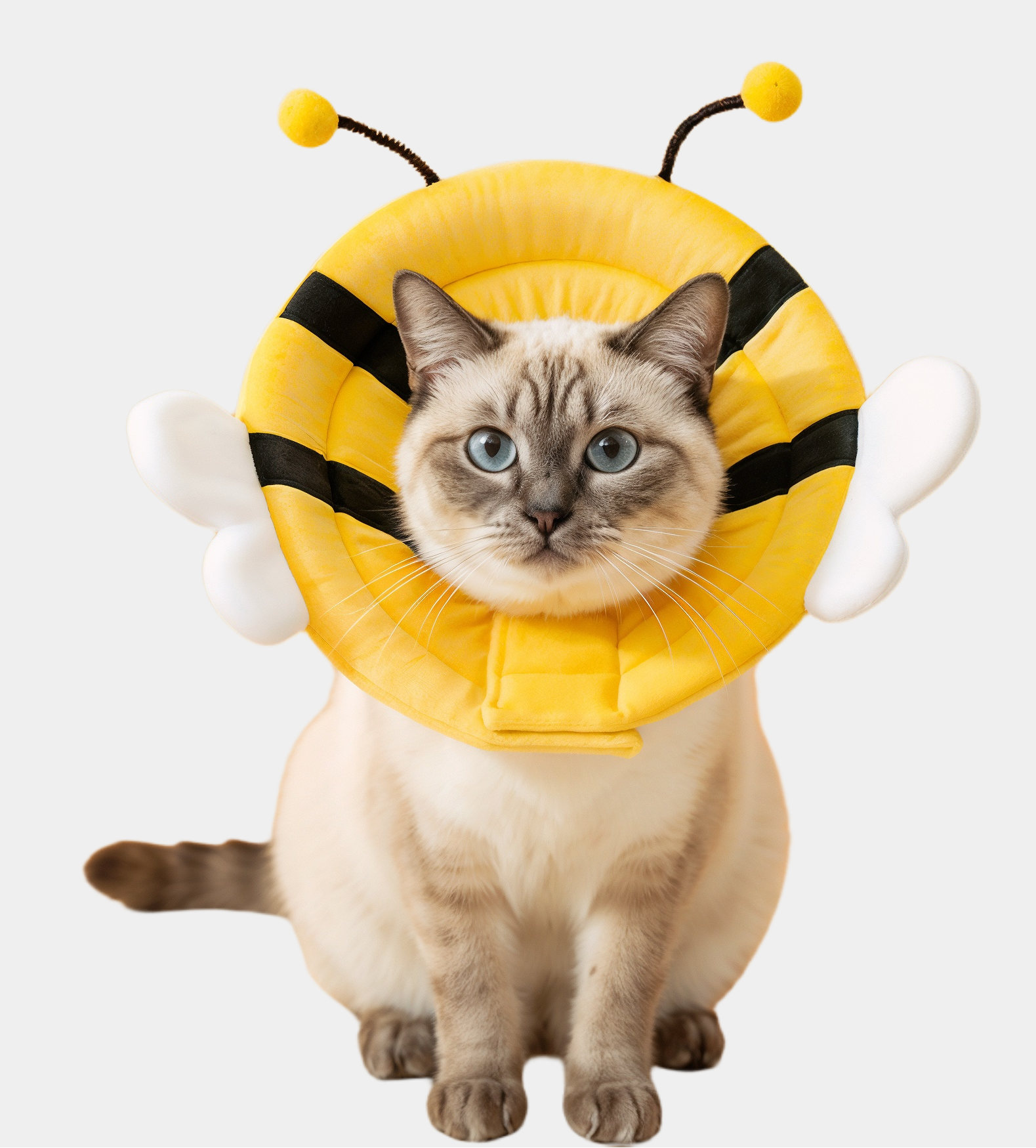Bumblebee Soft Elizabeth Cone