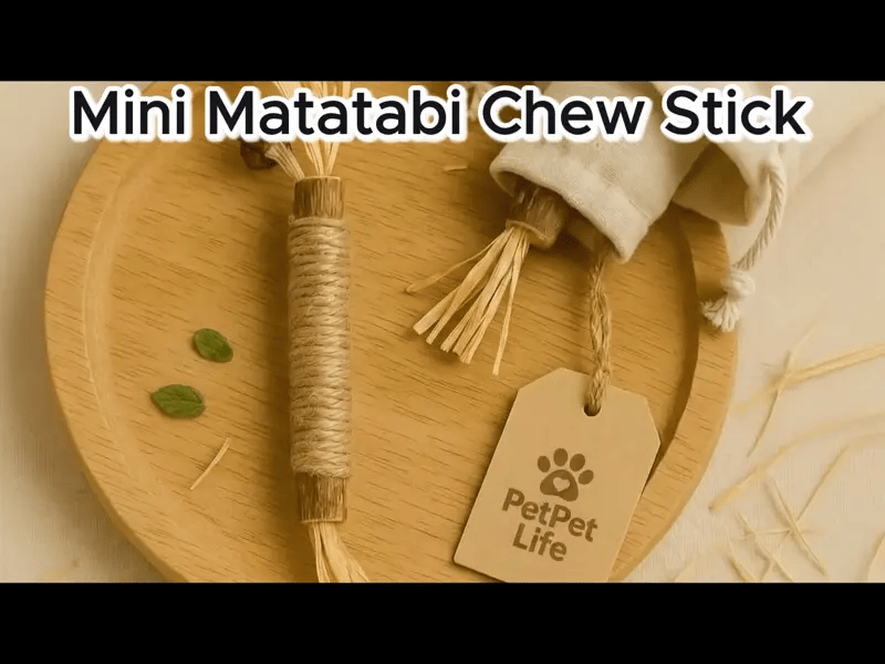Mini Matatabi Chew Stick