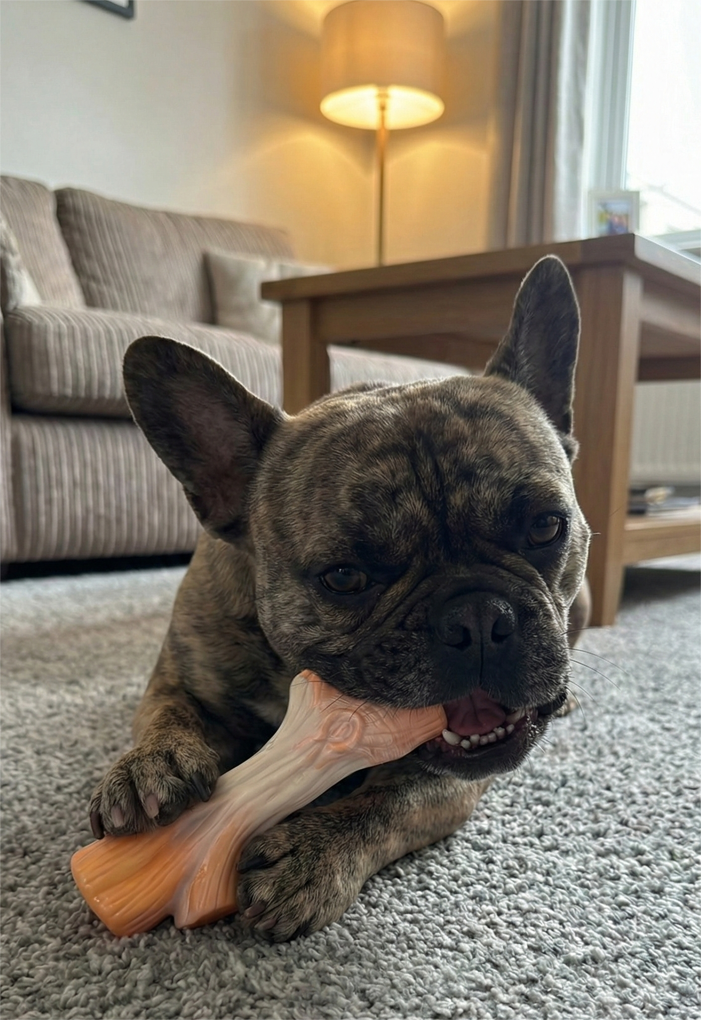 Pawfect Bark Stick