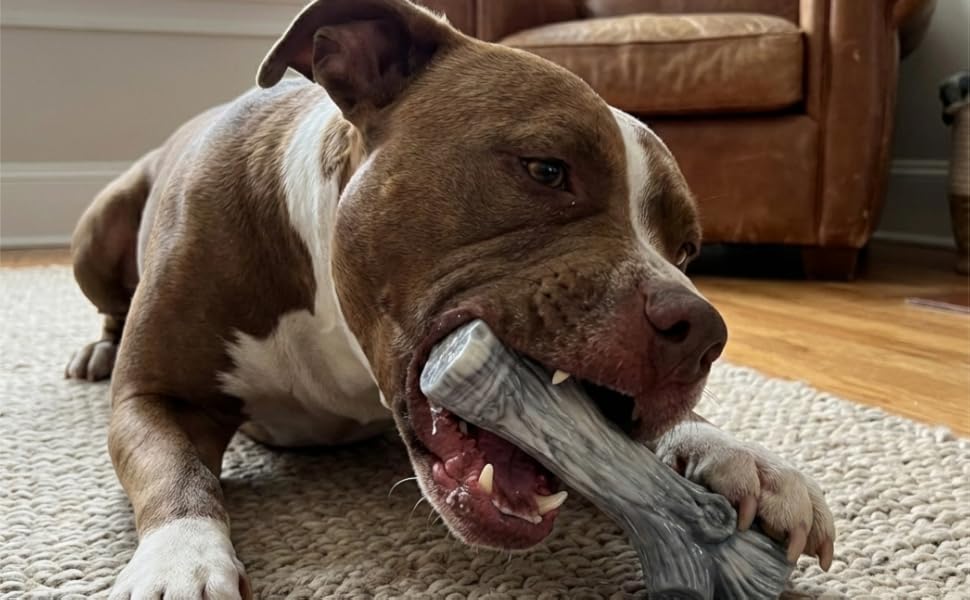 Pawfect Bark Stick