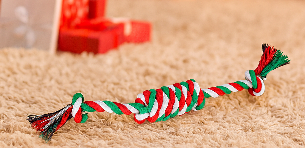 🎄 10-Piece Christmas Dog Toy Bundle