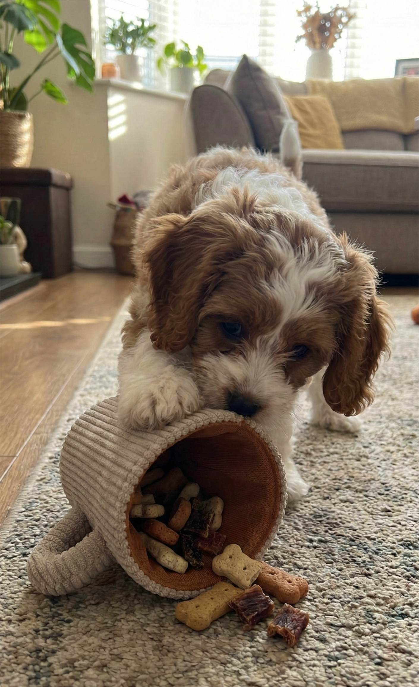 【 塞納河畔的午後 】Puppuccino 咖啡藏食玩具