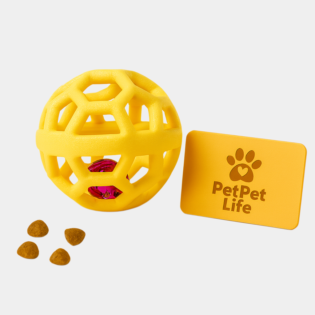 Durable Chew & Play Ball  x1