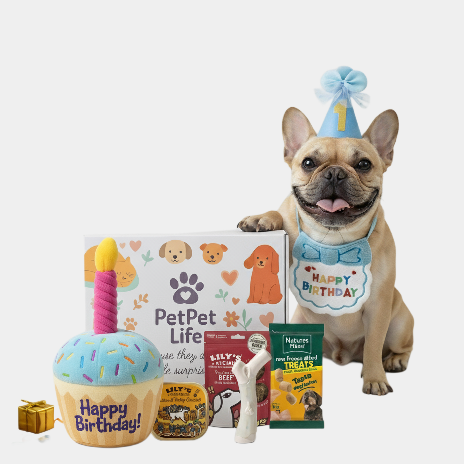 Canine Luxe Birthday Box