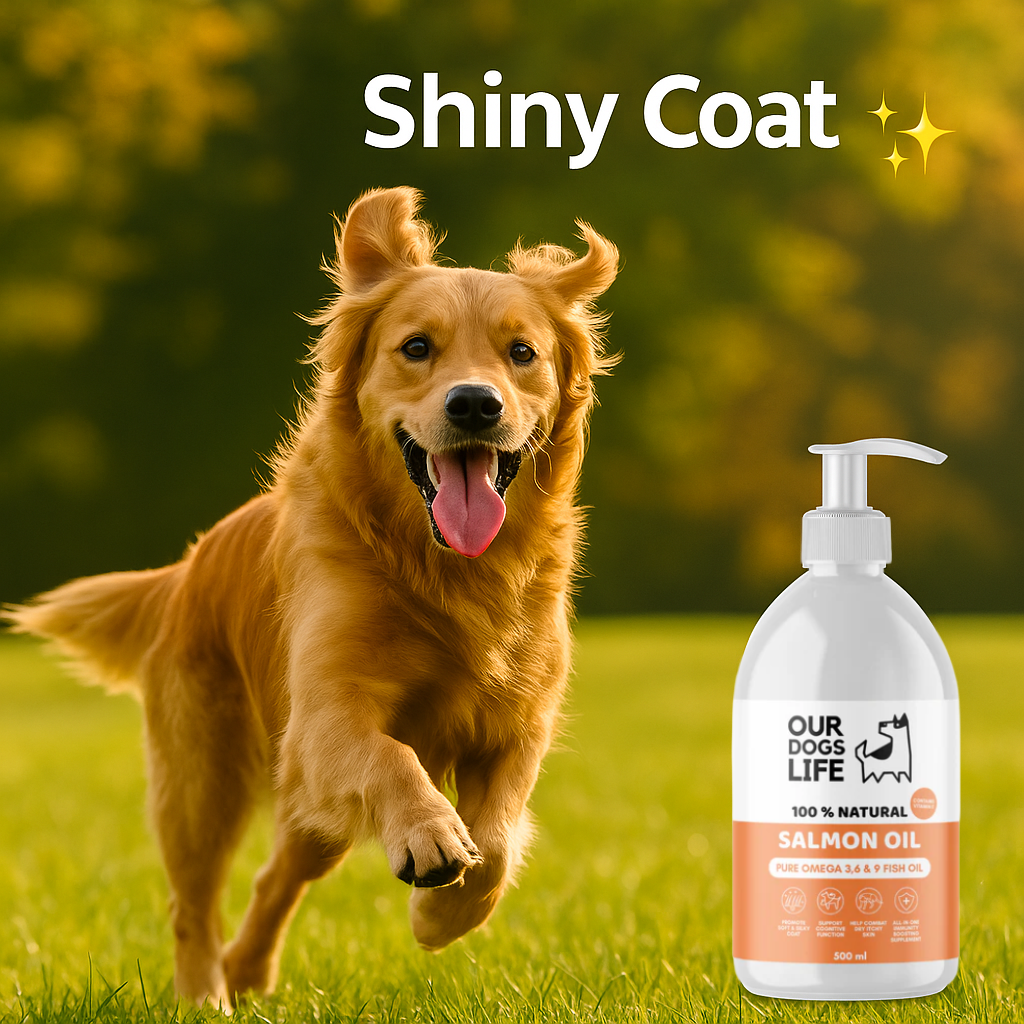 OurDogsLife - Salmon Oil For Dogs 1000ml