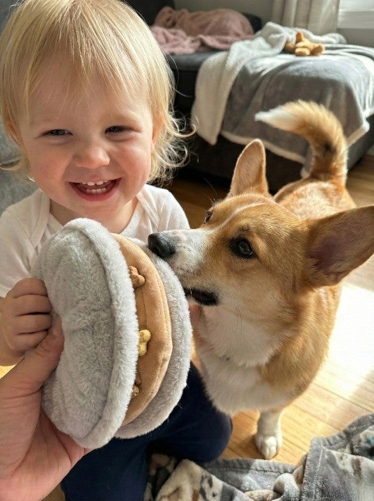 【 塞納河畔的午後 】巨型馬卡龍藏食玩具