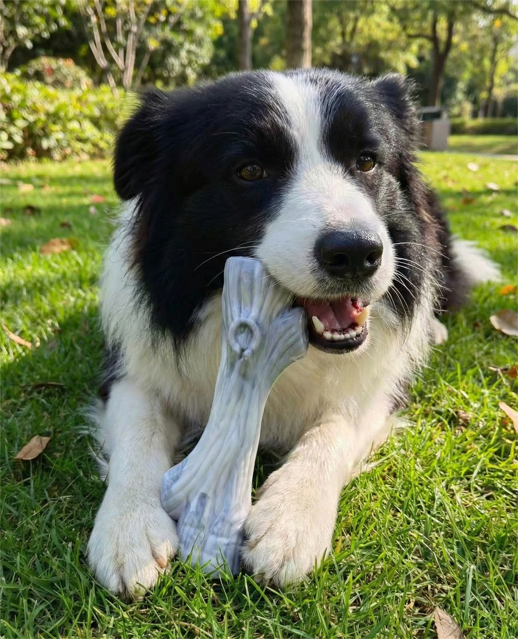 Pawfect 森林系列仿真磨牙棒