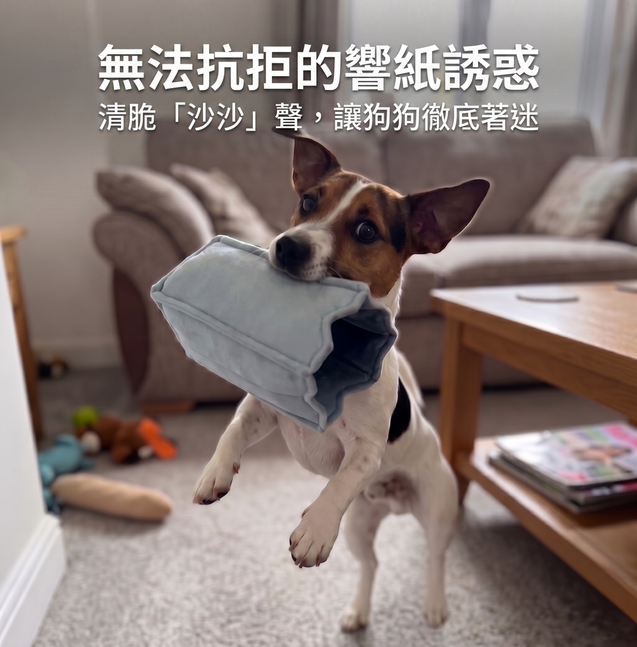 Nordic Café 4 件裝  狗狗嗅聞玩具